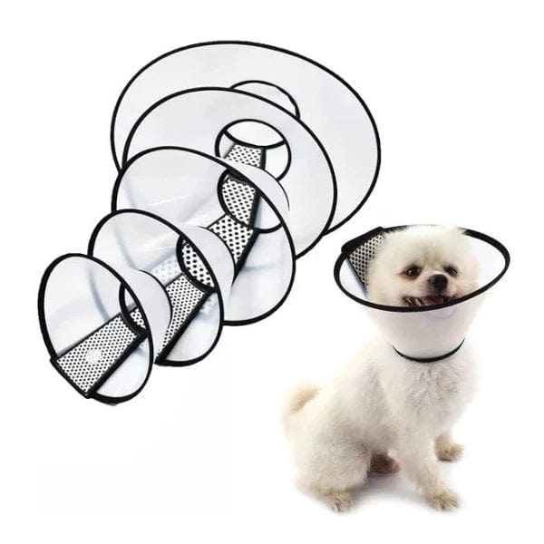 Pawise Protective Electronic Collar for Pet Recovery