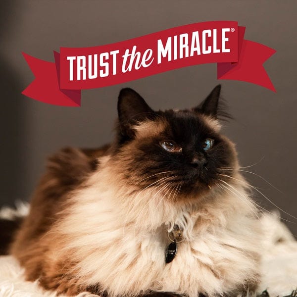 Nature's Miracle High - Performance Odor - Controlling Clumping Cat Litter, 20 lb