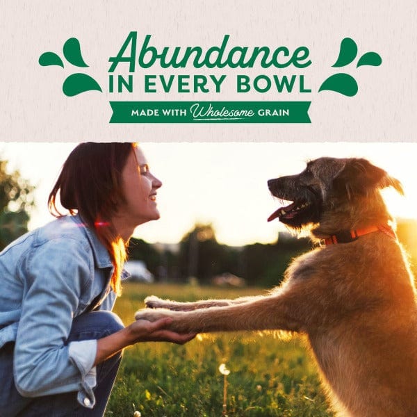 Natural Balance Ultra Original Lamb Flavor Paté Canned Dog Food for All Ages
