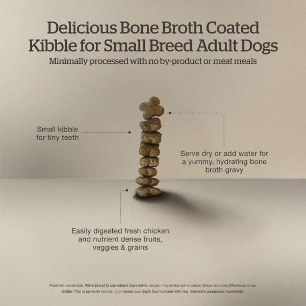 Now Fresh Small Breed Adult Dry Dog Food - Good Gravy Salmon Recipe