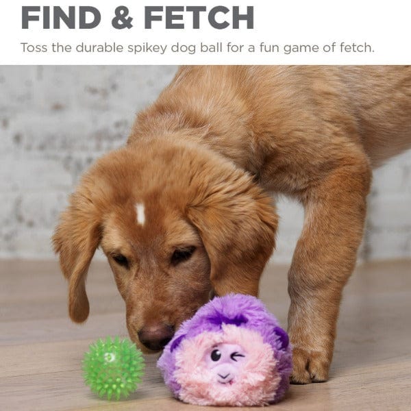 Outward Hound Reversi-Balls Interactive 3-in-1 Reversible Dog Fetch Toy