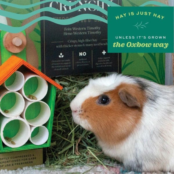 Oxbow Premium Hand - Sorted Soft & Tender Timothy Hay