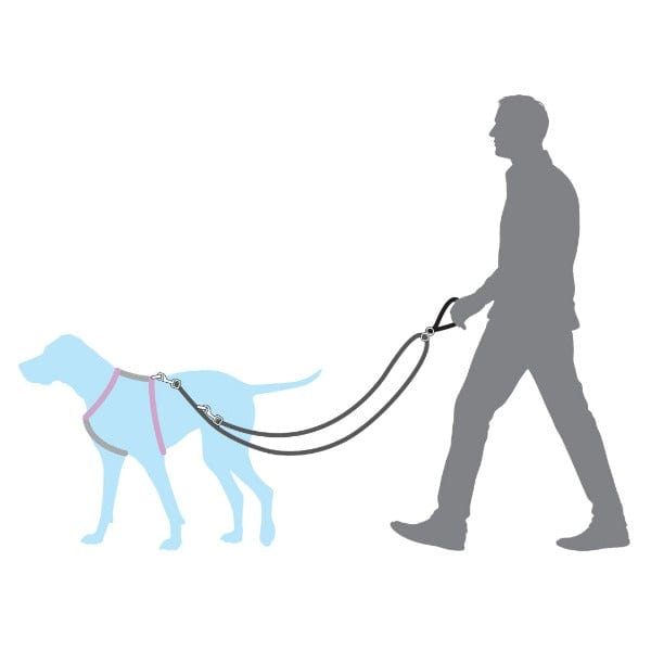 PetSafe Anti-Pulling Dog Leash for Enhanced Control with 3 in 1 Harness and Car Restraint
