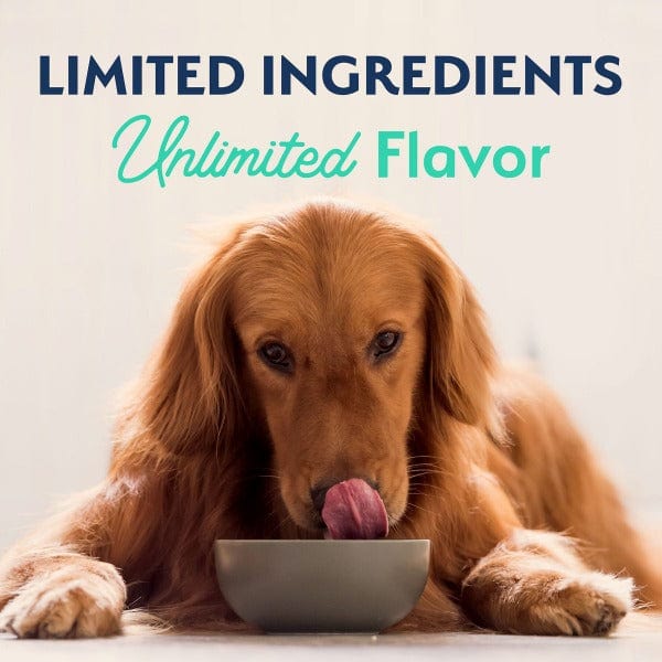 Natural Balance Adult Dry Dog Food - Limited Ingredient Chicken & Sweet Potato Recipe
