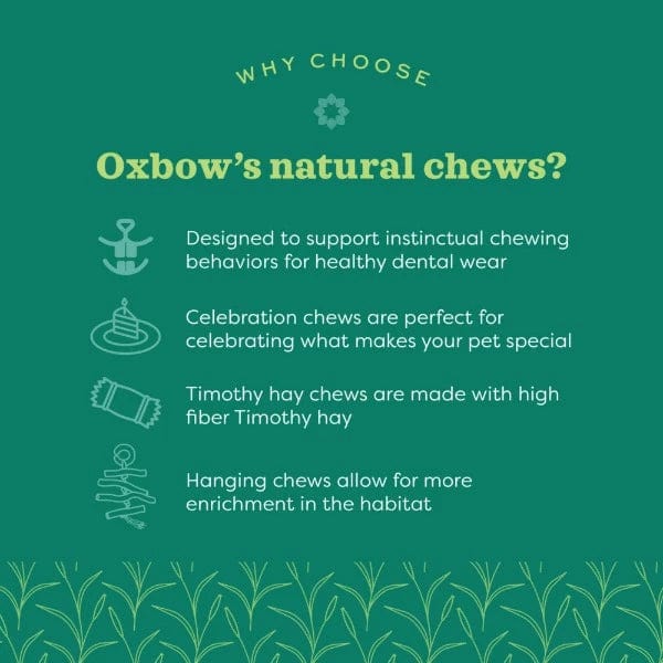 Oxbow Timothy Club - Premium Hand - woven Timothy Twists for Small Pets