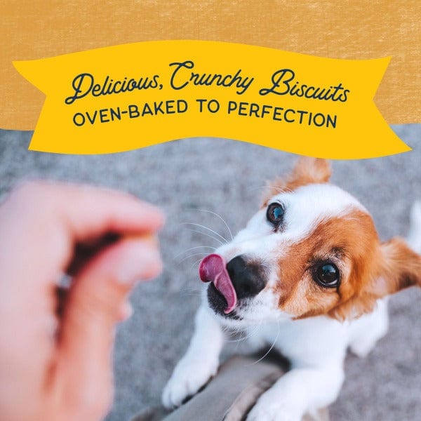 8oz Natural Balance Crunchy Duck Biscuits - Ideal for Small Breed Dogs