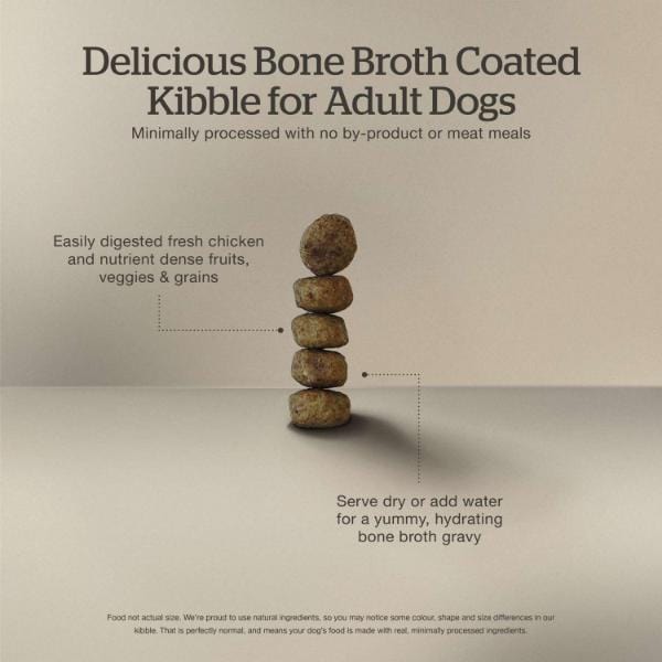 Now Fresh Premium Good Gravy Chicken Recipe Adult Dry Dog Food for Canine Companions