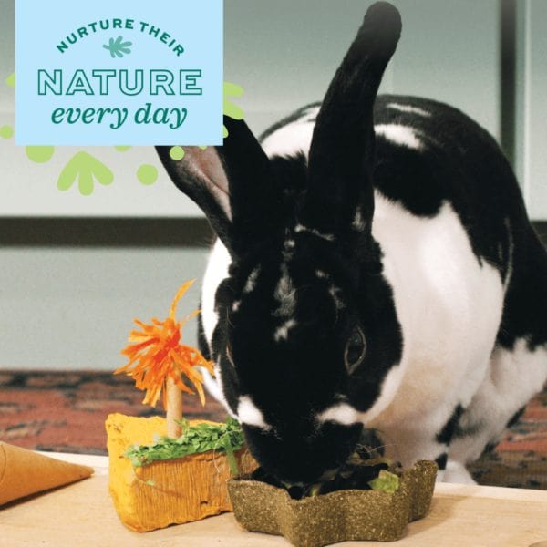 Oxbow Enriched Life Timothy Hay with Apple Slices - Premium Pet Chew and Enrichment Product