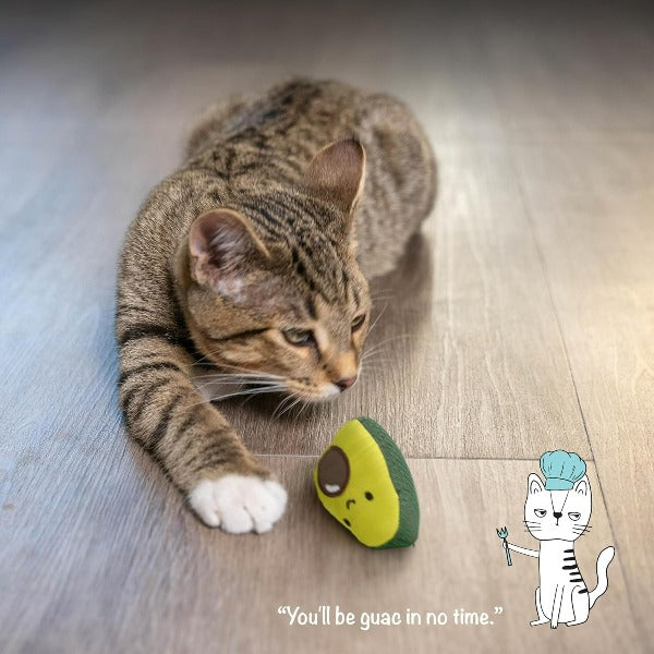 Petstages Adorable Lil' Avocato Dental Cat Chew Toy for Feline Fun