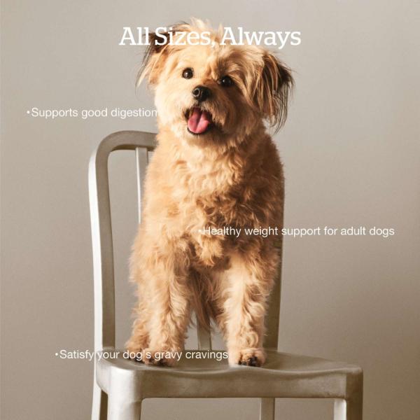 Now Fresh Premium Good Gravy Chicken Recipe Adult Dry Dog Food for Canine Companions
