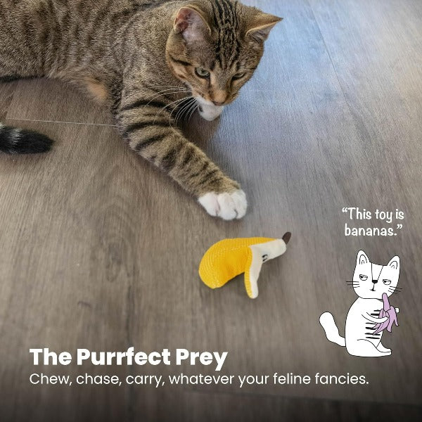 Petstages Dental Banana Interactive Cat Chew Toy for Optimal Feline Dental Care