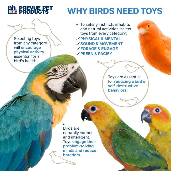 Prevue Pet Products Interactive Cluster of Fun Bird Entertainment Toy