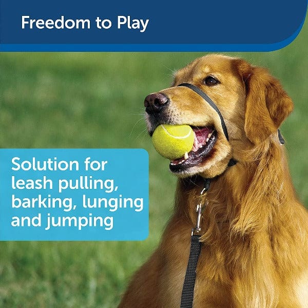 PetSafe Comfortable Nylon Easy Walk Headcollar for Dogs to Stop Pulling
