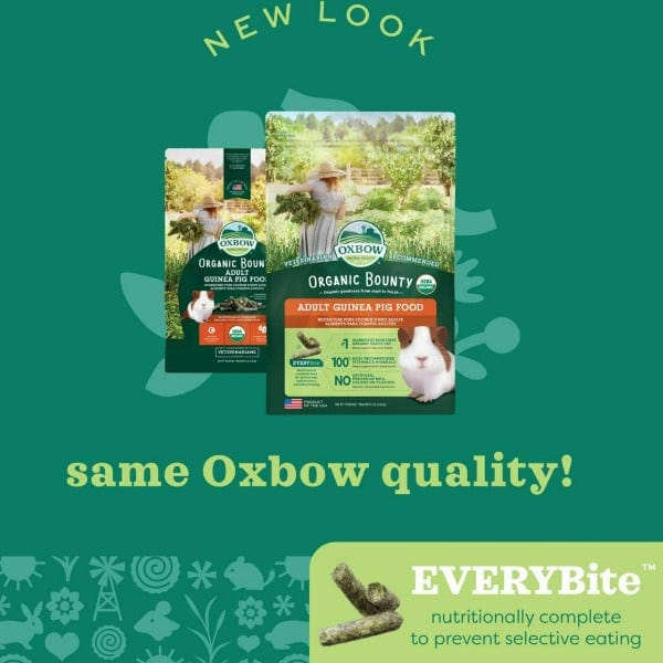 Oxbow Premium Organic Bounty Food Specially Designed for Adult Guinea Pigs