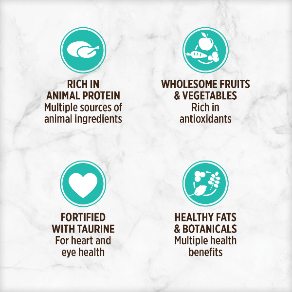 Nutrience Grain-Free Canned Cat Food with Turkey, Chicken & Duck Pate