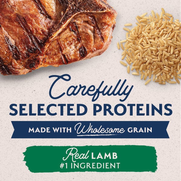 High - Quality Natural Balance Canned Dog Food with Limited Ingredient Lamb and Brown Rice Recipe