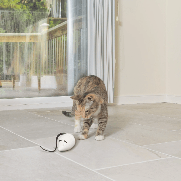 PetSafe Automatic RoloRat Cat Teaser Toy for Endless Fun