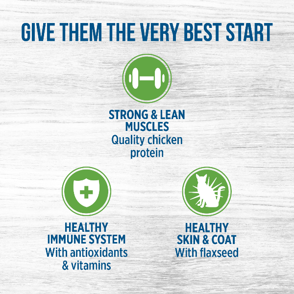 Nutrience Premium Original Canned Chicken Pate Kitten Food for Optimal Growth