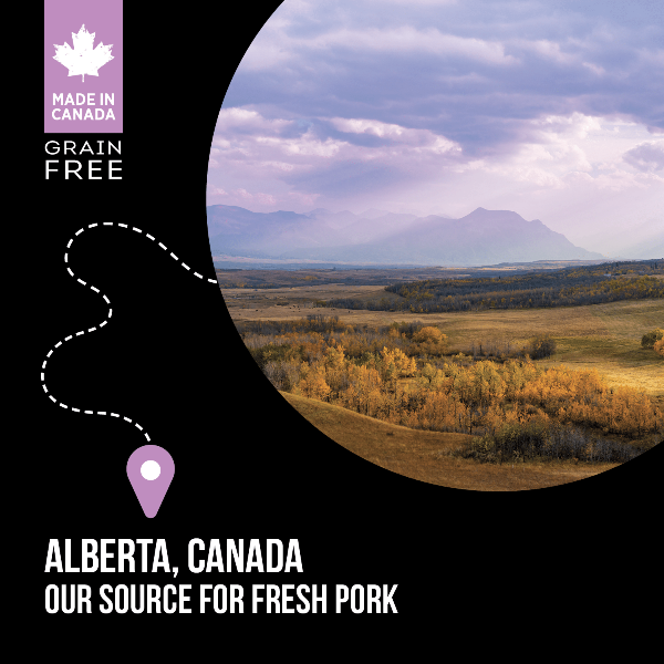Nutrience SubZero Premium Limited Ingredient Dry Dog Food with Canadian-Sourced Pork and Apple for Sensitive Dogs