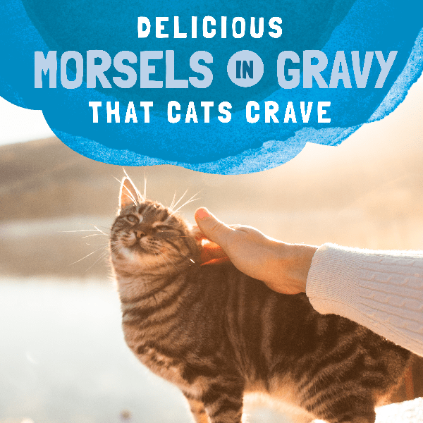 Natural Balance Platefulls Gravy Morsels Cat Food Pouch - Mackerel & Sardine Recipe