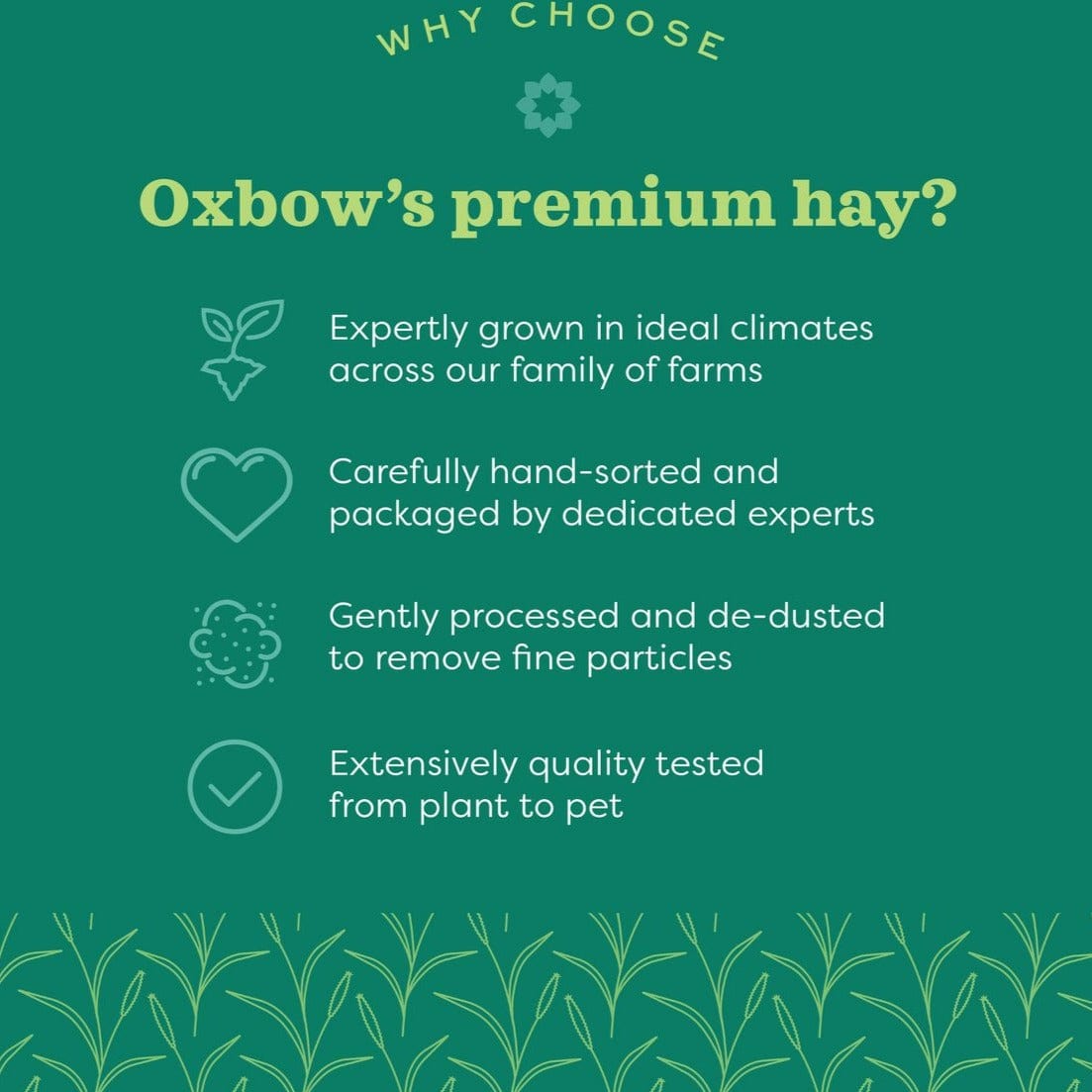 15oz Oxbow Premium Botanical Hay with Irresistible Herbs