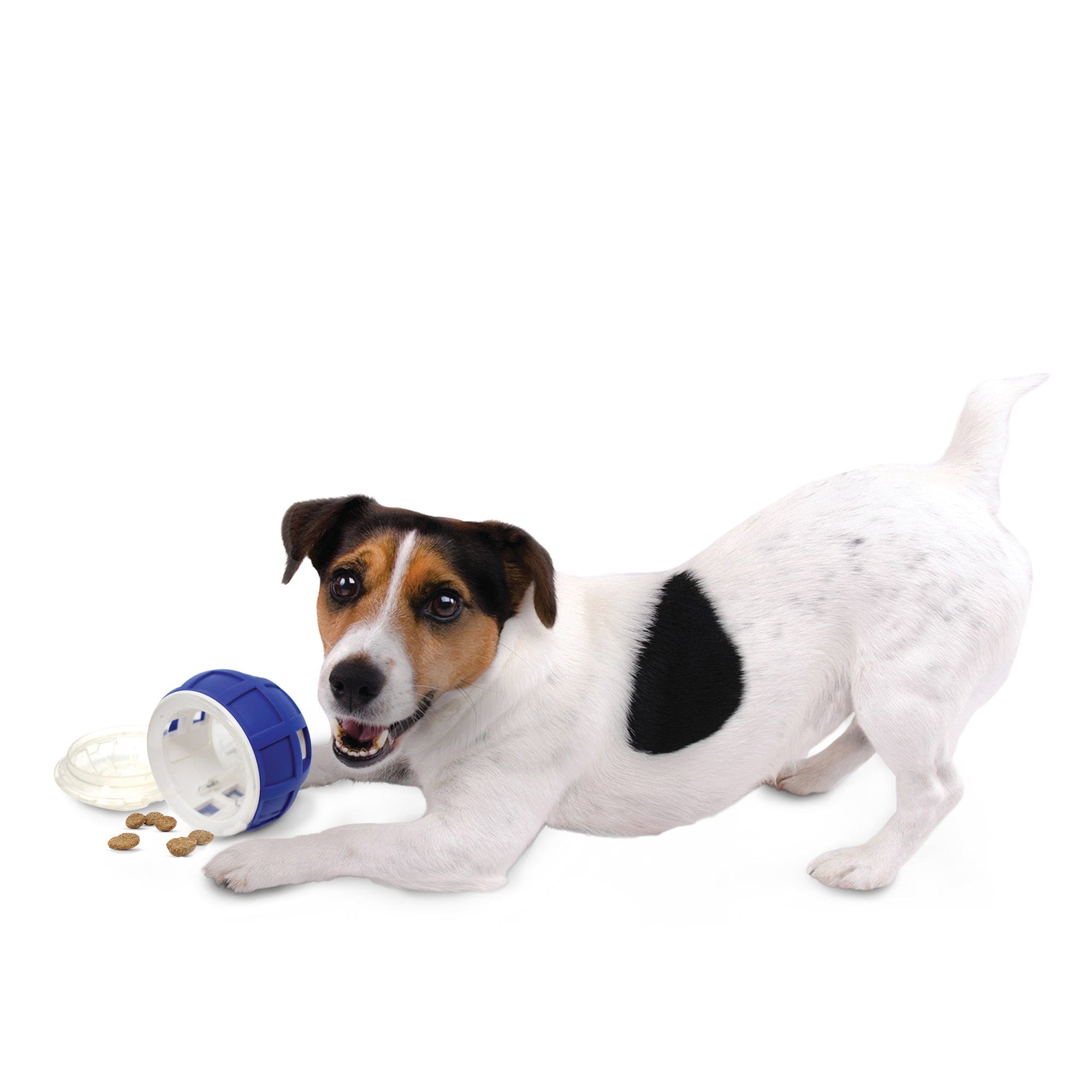 Nerf Interactive Puzzle Feeder - Ideal Dog Toy for Endless Fun