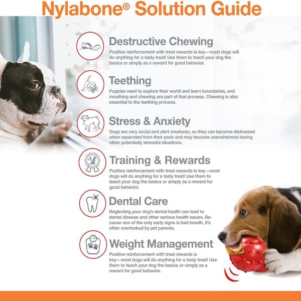 Nylabone High - Quality Power Chew Action Ridges Dog Chew Toy for Powerful Chewers