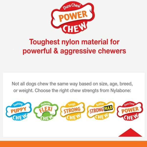 Nylabone Durable Textured Power Chew Ring Toy for Aggressive Dog Chewers