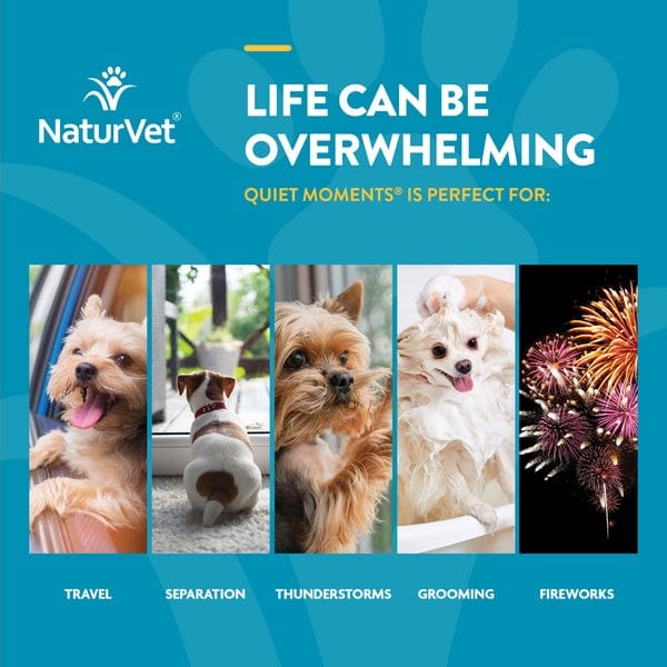 NaturVet Calming Soft Chews with Melatonin for Dogs - Quiet Moments Aid