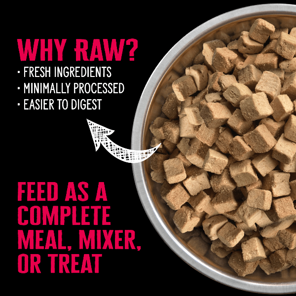 Nutrience SubZero Premium Freeze - Dried Raw Beef & Pumpkin Dog Food for Optimal Nutrition