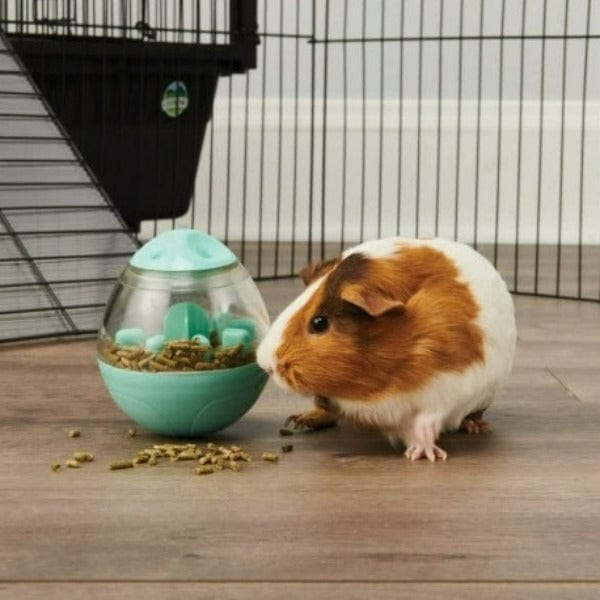 Oxbow Enriched Life Wobbling Food Teaser for Small Pets