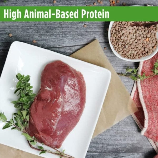 Nulo Freestyle Indoor Grain-Free Dry Cat Food with Duck & Lentils Recipe