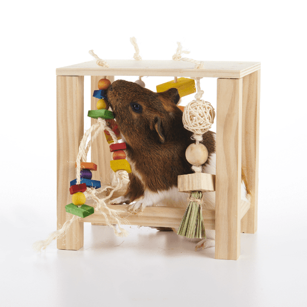 Oxbow Enriched Life - Interactive Play Table for Pets