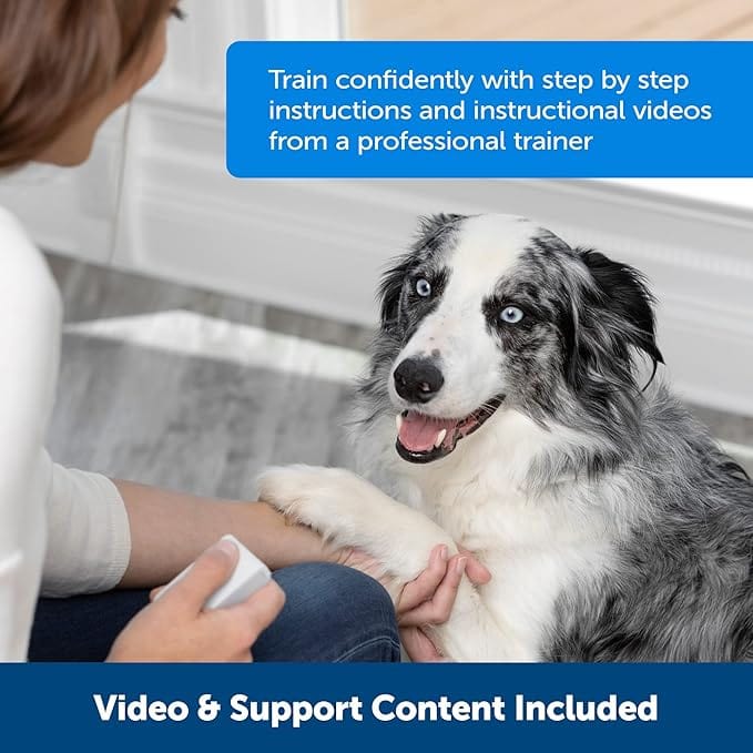 PetSafe Remote Reward Dog Training System - Teach & Treat Trainer