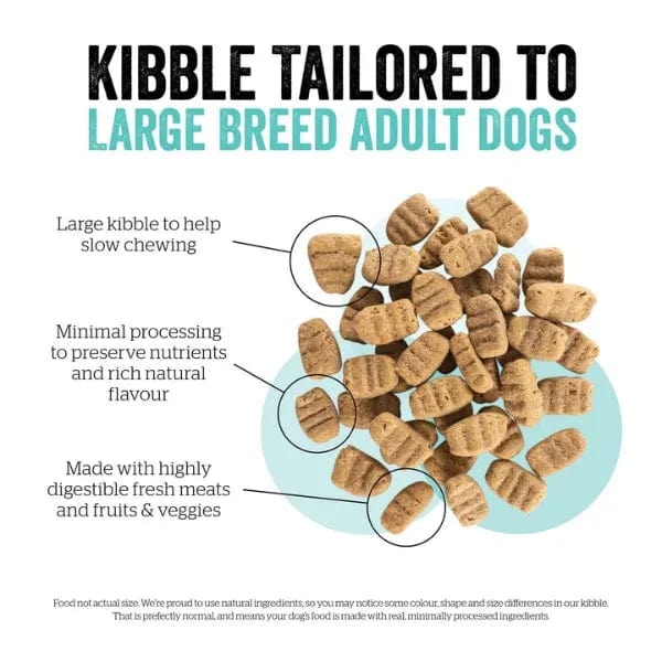 Now Fresh Premium Dry Dog Food for Large Breed Adult Dogs with Turkey, Salmon & Duck Recipe, 25lb Package