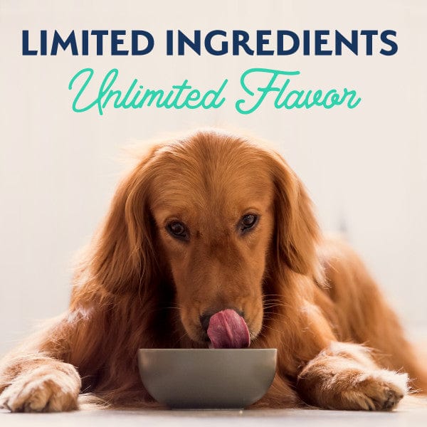 Natural Balance Premium Limited Ingredient Canned Dog Food with Chicken and Sweet Potato Recipe