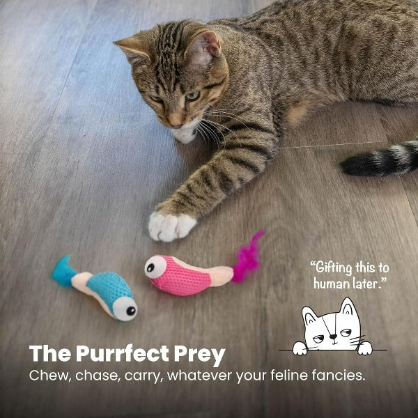 Petstages Catnip-Stuffed Dental Shrimpies Cat Toy for All Ages