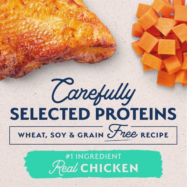 Natural Balance Adult Dry Dog Food - Limited Ingredient Chicken & Sweet Potato Recipe