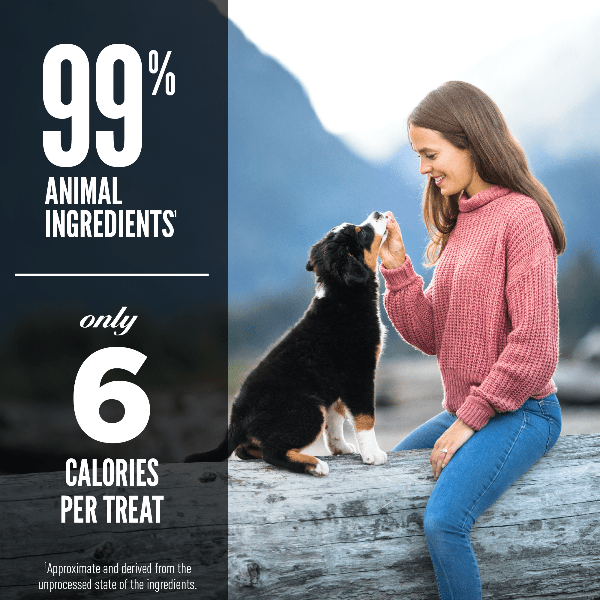 Orijen Freeze-Dried Lamb Recipe Dog Treats: Nutritious & Delicious