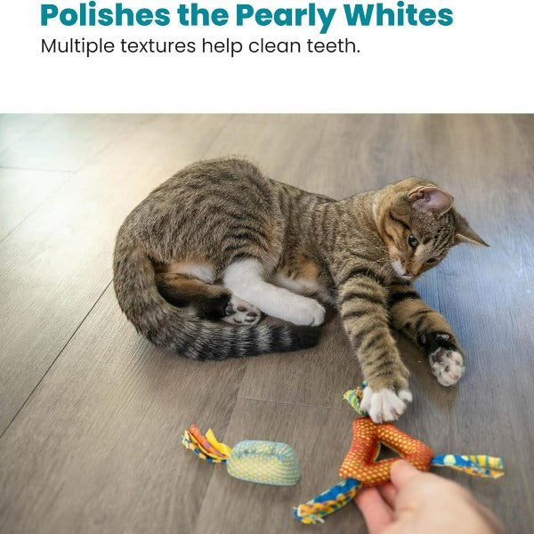 Petstages Catnip-Filled Dental Health Chew Toys for Cats of All Ages