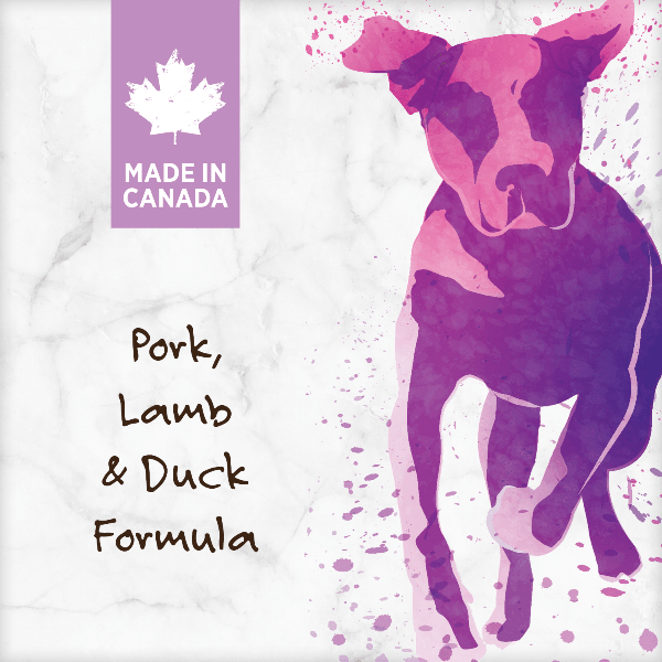 Nutrience 10kg Grain-Free Dog Food with Pork, Lamb & Duck