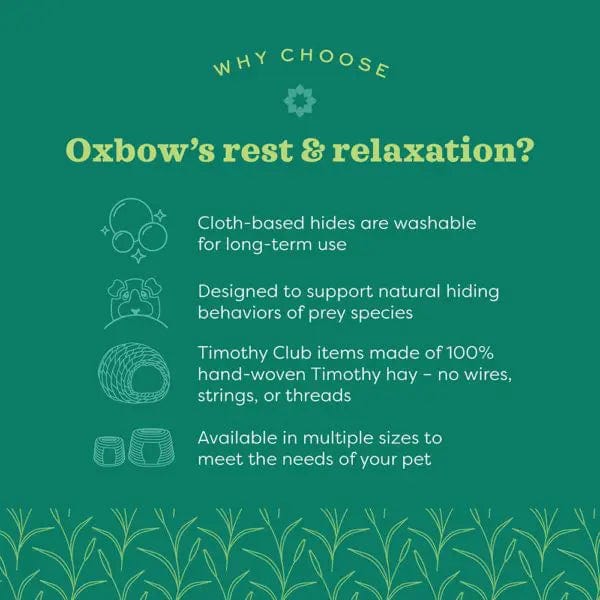 Oxbow Enriched Life - Safe and Fun Hideaway Hive for Small Pets