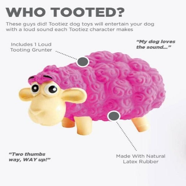 Outward Hound Natural Latex Tootiez Fetch Dog Toys for Endless Fun