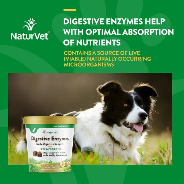 NaturVet Digestive Support Soft Chews with Enzymes, Prebiotics & Probiotics for Dogs