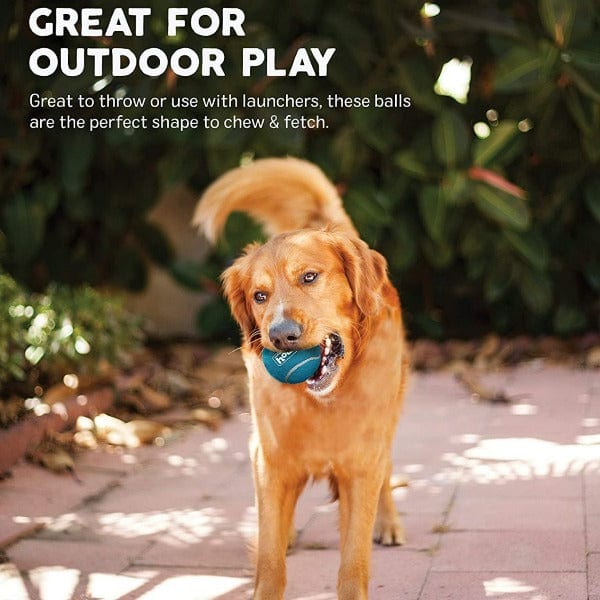 Outward Hound Premium Squeaky Tennis Ballz Dog Toy Set