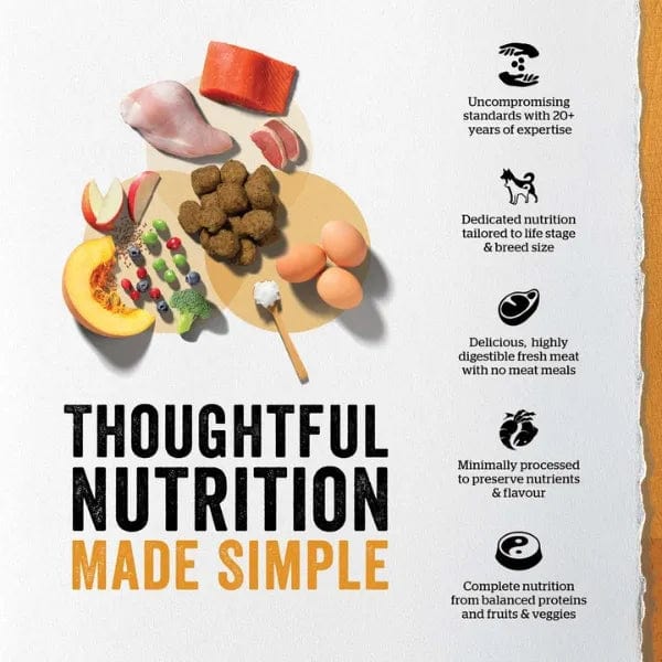 Now Fresh Premium Adult Dry Dog Food with a Blend of Turkey, Salmon, and Duck