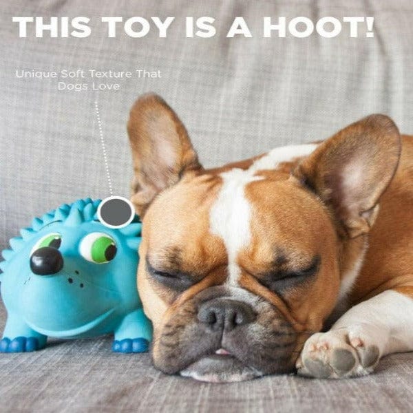 Outward Hound Natural Latex Tootiez Fetch Dog Toys for Endless Fun