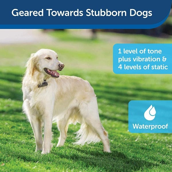 PetSafe Add - on Receiver Collar for Stubborn Dogs
