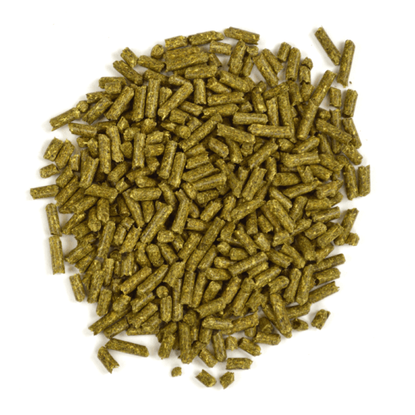Oxbow Garden Select High - Quality Adult Rabbit Food for a Healthy Lifestyle