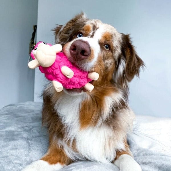 Outward Hound Natural Latex Tootiez Fetch Dog Toys for Endless Fun